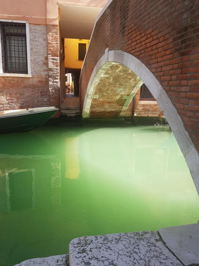 The Secret Garden In The Very Heart Of Apartament